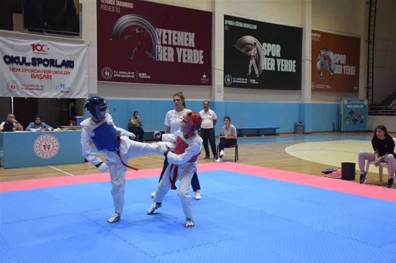 Taekwondo İl Seçmeleri tamamlandı
