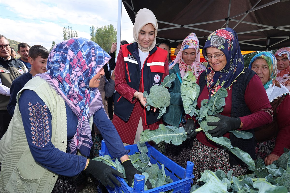 Vali Yiğitbaşı, Taşoluk’ta Brokoli Hasadına Katıldı