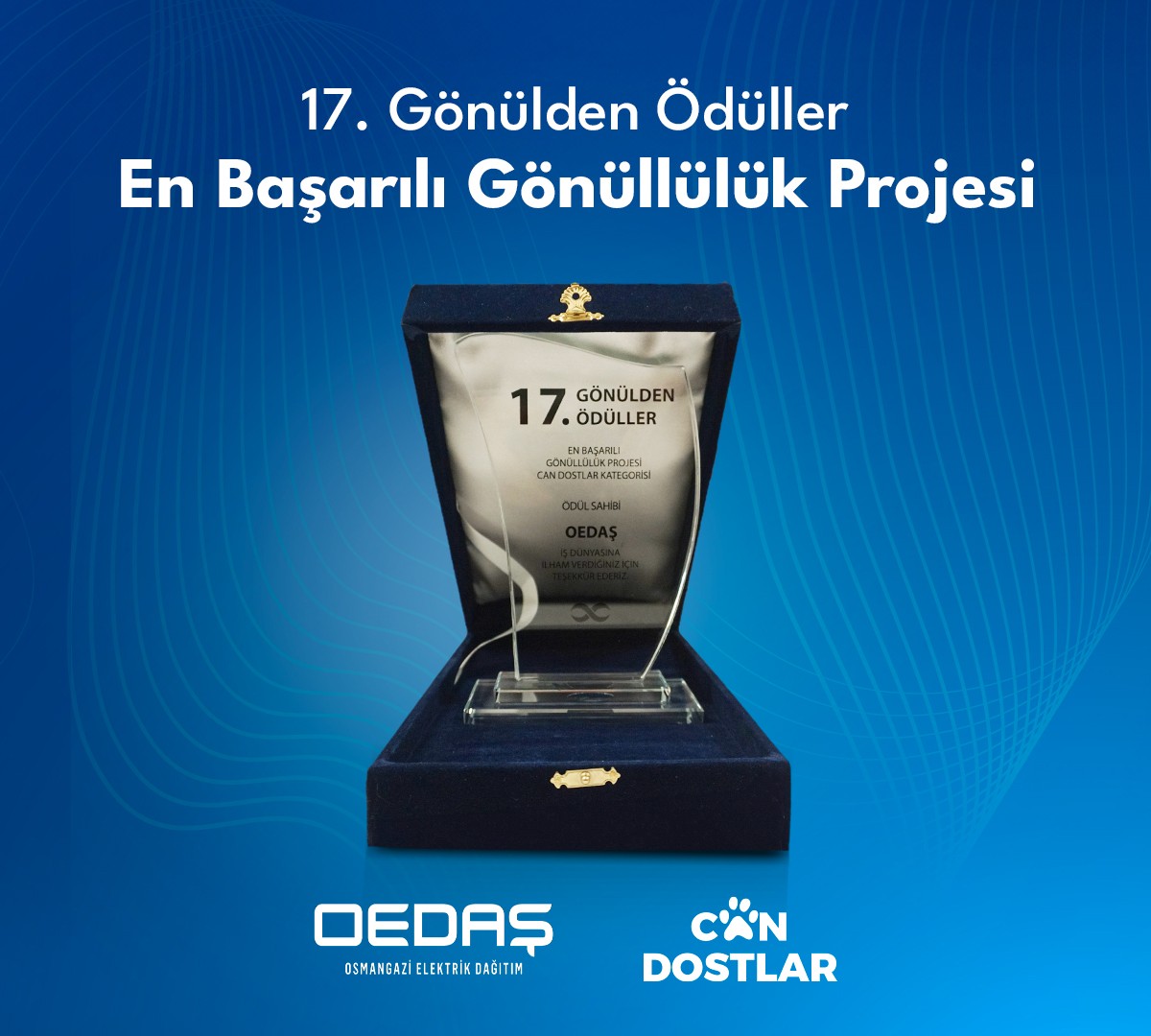 OEDAŞ’ın gönüllü çalışmaları  ödülle taçlandı