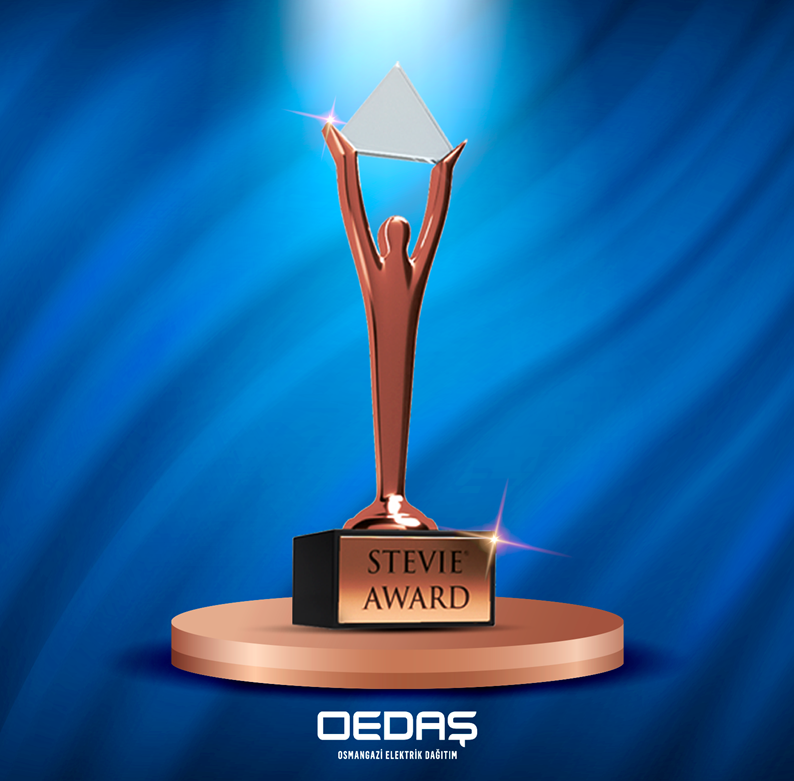 OEDAŞ’ın Türkiye’de bir ilke imza attığı  projesine uluslararası ödül