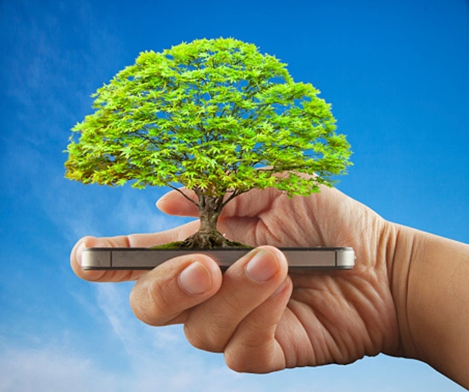 Dijital abonelik işlemleri sayesinde 11 ayda 295 ağaç kurtarıldı