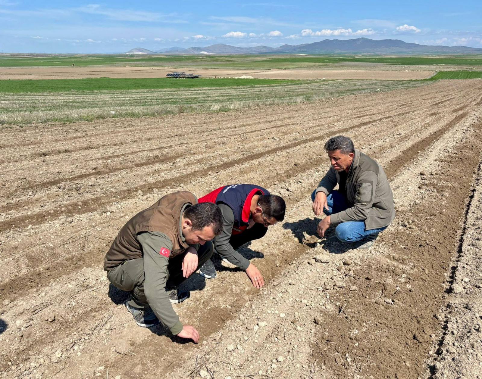 DAĞITIMI YAPILAN TOHUMLAR TOPRAKLA BULUŞTU