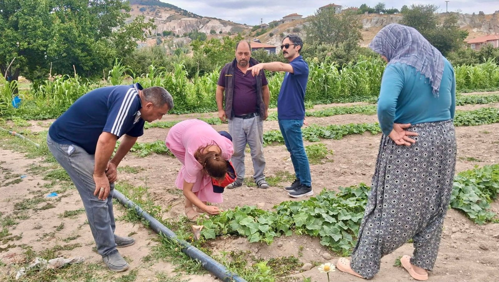 HASTALIK VE ZARARLI TAKİP ÇALIŞMALARI SÜRÜYOR